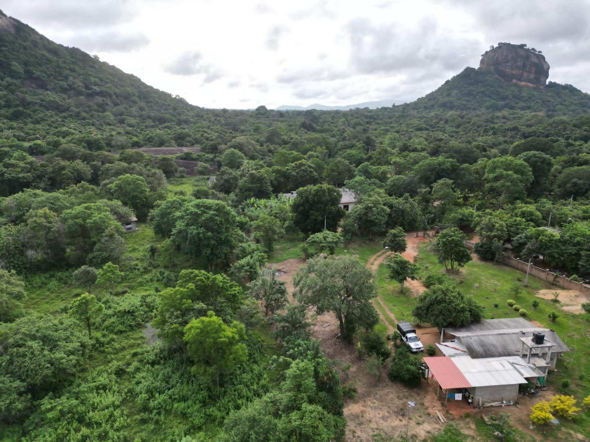 Sigiri Arana Sigiriya Hotel Exterior photo